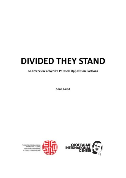 Divided-they-stand preview