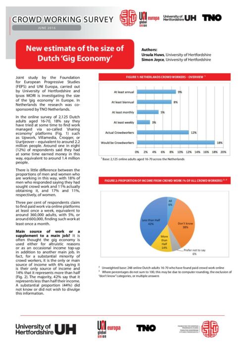 New estimate of the size of Dutch ‘Gig Economy’ - Survey preview