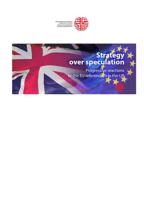 Strategy over Speculation - Progressive Reactions to the EU Referendum in the UK preview