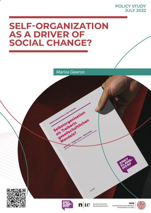 Executive summary - Self-organization as a driver of social change? preview