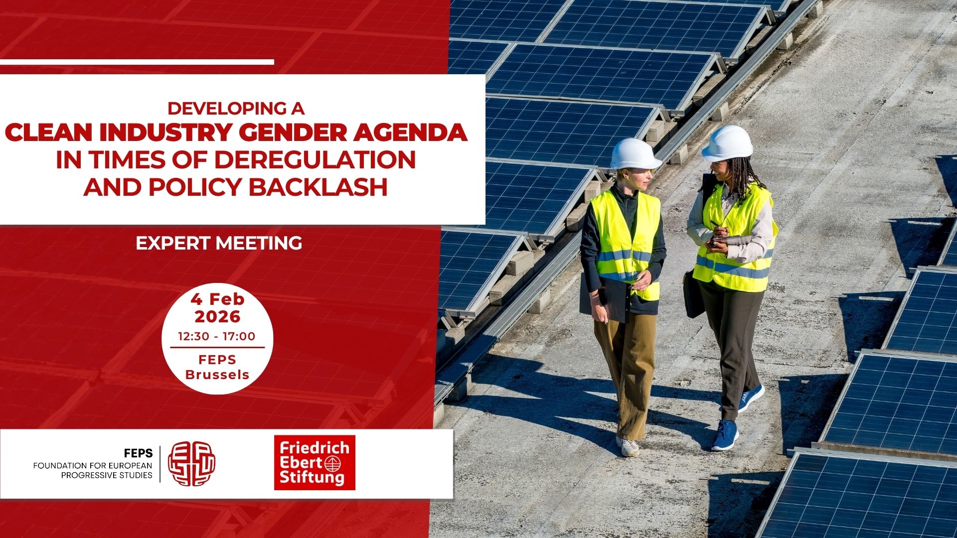 Developing a clean industry gender agenda in times of deregulation and ...