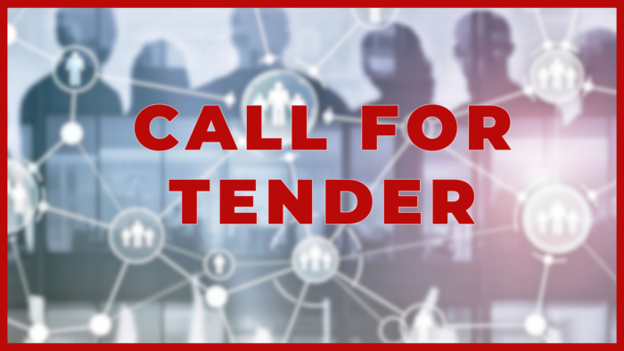 Call for tender – HR consulting services