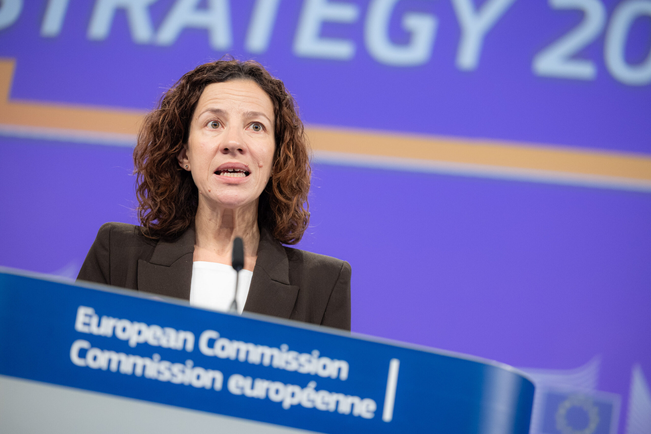 The new EU Gender Equality Strategy 2026-2030 - Foundation for European ...