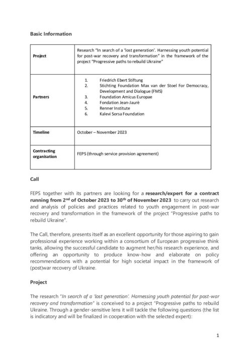 Youth-policy_Call-for-tender_Research preview
